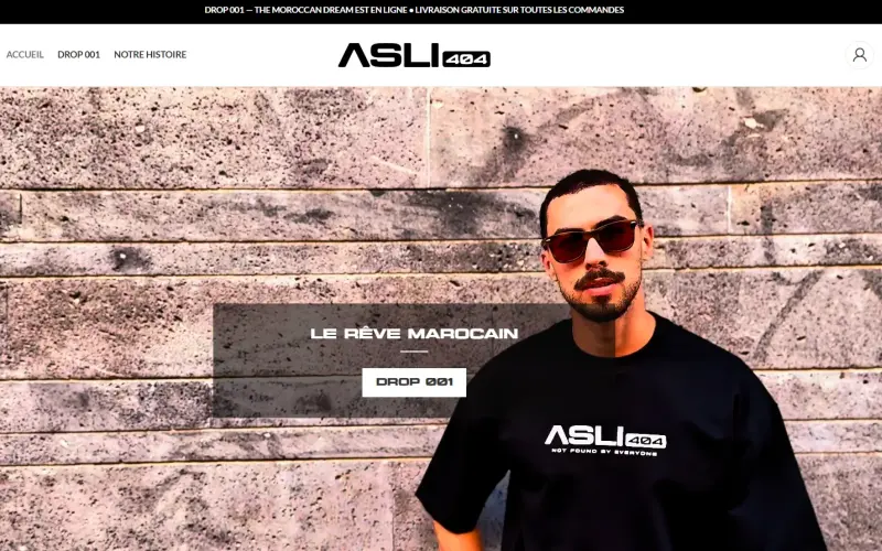 Page d’accueil de ASLI 404